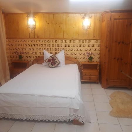 Apartament Pe Malul Raului Bega Тімішоара Екстер'єр фото