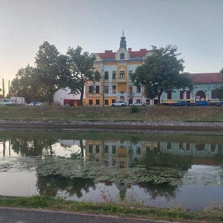 Apartament Pe Malul Raului Bega Тімішоара Екстер'єр фото