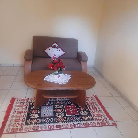 Apartament Pe Malul Raului Bega Тімішоара Екстер'єр фото