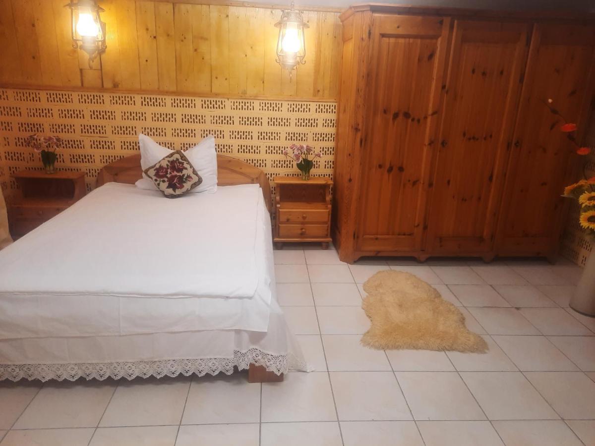 Apartament Pe Malul Raului Bega Тімішоара Екстер'єр фото